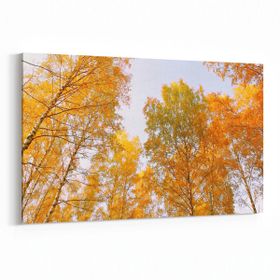 Olla 11035Y Ağaç Görseli Yatay 30x20 cm Kanvas Tablo
