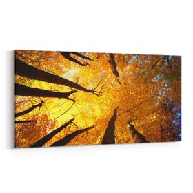 Olla 11039YD Ağaç Görseli Yatay Dar 60x30 cm Kanvas Tablo