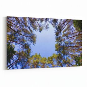 Olla 11042Y Ağaç Görseli Yatay 30x20 cm Kanvas Tablo