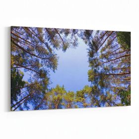 Olla 11042Y Ağaç Görseli Yatay 30x20 cm Kanvas Tablo