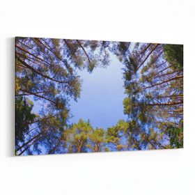 Olla 11042Y Ağaç Görseli Yatay 30x20 cm Kanvas Tablo
