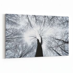 Olla 11046Y Ağaç Görseli Yatay 30x20 cm Kanvas Tablo