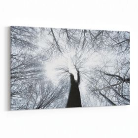 Olla 11046Y Ağaç Görseli Yatay 30x20 cm Kanvas Tablo