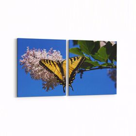 Olla 11049K2Y Ağaç Görseli Kare 2 Parça Yatay 65x30 cm Kanvas Tablo
