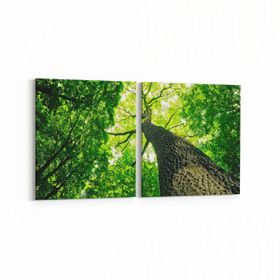 Olla 11051K2Y Ağaç Görseli Kare 2 Parça Yatay 65x30 cm Kanvas Tablo