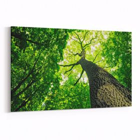 Olla 11051Y Ağaç Görseli Yatay 30x20 cm Kanvas Tablo