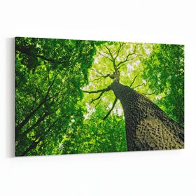 Olla 11051Y Ağaç Görseli Yatay 30x20 cm Kanvas Tablo
