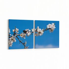 Olla 11052K2Y Ağaç Görseli Kare 2 Parça Yatay 65x30 cm Kanvas Tablo