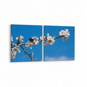 Olla 11052K2Y Ağaç Görseli Kare 2 Parça Yatay 65x30 cm Kanvas Tablo