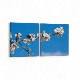 Olla 11052K2Y Ağaç Görseli Kare 2 Parça Yatay 65x30 cm Kanvas Tablo
