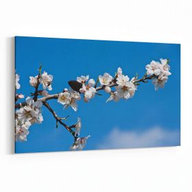 Olla 11052Y Ağaç Görseli Yatay 30x20 cm Kanvas Tablo