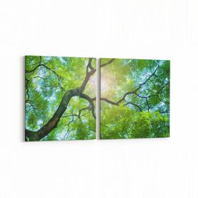 Olla 11055K2Y Ağaç Görseli Kare 2 Parça Yatay 65x30 cm Kanvas Tablo