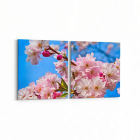 Olla 11062K2Y Ağaç Görseli Kare 2 Parça Yatay 65x30 cm Kanvas Tablo