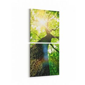 Olla 11063K2D Ağaç Görseli Kare 2 Parça Dikey 30x65 cm Kanvas Tablo