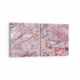 Olla 11556K2Y Çiçek Görseli Kare 2 Parça Yatay 65x30 cm Kanvas Tablo