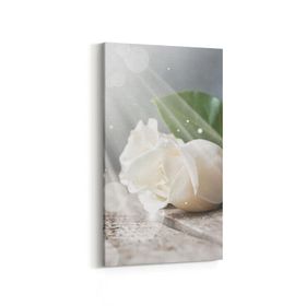 Olla 11562DD Çiçek Görseli Dikey Dar 30x60 cm Kanvas Tablo