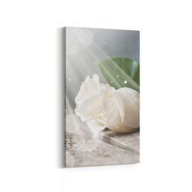 Olla 11562DD Çiçek Görseli Dikey Dar 30x60 cm Kanvas Tablo