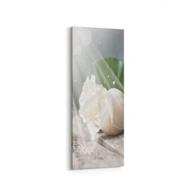 Olla 11562DI Çiçek Görseli Dikey İnce 30x90 cm Kanvas Tablo