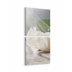 Olla 11562K2D Çiçek Görseli Kare 2 Parça Dikey 30x65 cm Kanvas Tablo