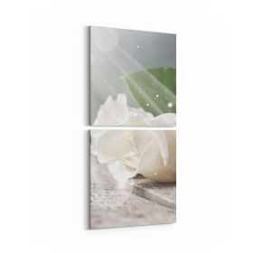 Olla 11562K2D Çiçek Görseli Kare 2 Parça Dikey 30x65 cm Kanvas Tablo