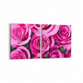Olla 11567K2Y Çiçek Görseli Kare 2 Parça Yatay 65x30 cm Kanvas Tablo
