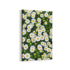 Olla 11568D Çiçek Görseli Dikey 20x30 cm Kanvas Tablo