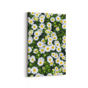 Olla 11568D Çiçek Görseli Dikey 20x30 cm Kanvas Tablo