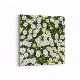 Olla 11568K Çiçek Görseli Kare 25x25 cm Kanvas Tablo