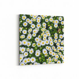 Olla 11568K Çiçek Görseli Kare 25x25 cm Kanvas Tablo