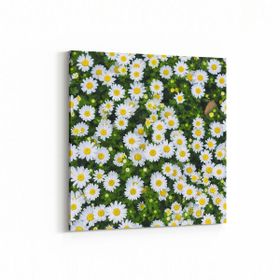 Olla 11568K Çiçek Görseli Kare 25x25 cm Kanvas Tablo