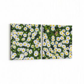 Olla 11568K2Y Çiçek Görseli Kare 2 Parça Yatay 65x30 cm Kanvas Tablo