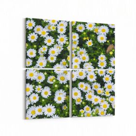 Olla 11568K4 Çiçek Görseli Kare 4 Parça 65x65 cm Kanvas Tablo