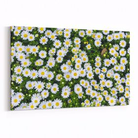 Olla 11568Y Çiçek Görseli Yatay 30x20 cm Kanvas Tablo