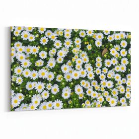 Olla 11568Y Çiçek Görseli Yatay 30x20 cm Kanvas Tablo