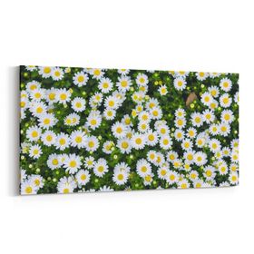 Olla 11568YD Çiçek Görseli Yatay Dar 60x30 cm Kanvas Tablo