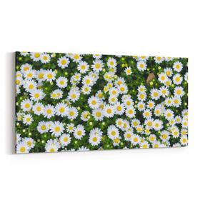 Olla 11568YD Çiçek Görseli Yatay Dar 60x30 cm Kanvas Tablo