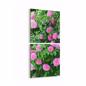 Olla 11570K2D Çiçek Görseli Kare 2 Parça Dikey 30x65 cm Kanvas Tablo