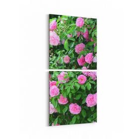 Olla 11570K2D Çiçek Görseli Kare 2 Parça Dikey 30x65 cm Kanvas Tablo