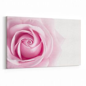 Olla 11572Y Çiçek Görseli Yatay 30x20 cm Kanvas Tablo
