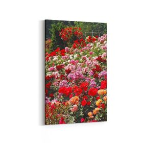 Olla 11575D Çiçek Görseli Dikey 20x30 cm Kanvas Tablo