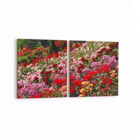 Olla 11575K2Y Çiçek Görseli Kare 2 Parça Yatay 65x30 cm Kanvas Tablo