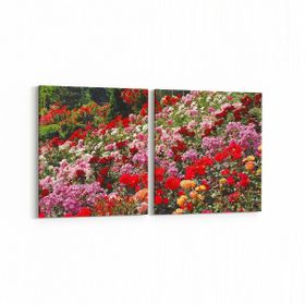 Olla 11575K2Y Çiçek Görseli Kare 2 Parça Yatay 65x30 cm Kanvas Tablo
