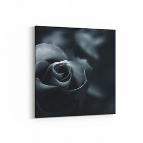 Olla 11577K Çiçek Görseli Kare 25x25 cm Kanvas Tablo