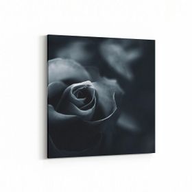 Olla 11577K Çiçek Görseli Kare 25x25 cm Kanvas Tablo