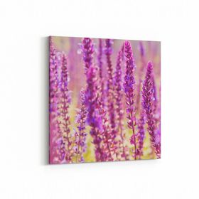 Olla 11578K Çiçek Görseli Kare 25x25 cm Kanvas Tablo