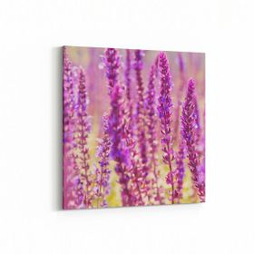 Olla 11578K Çiçek Görseli Kare 25x25 cm Kanvas Tablo