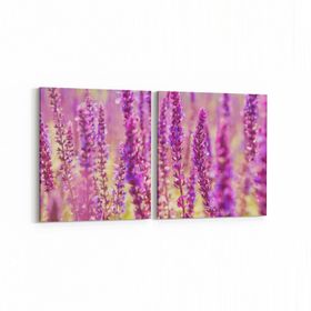 Olla 11578K2Y Çiçek Görseli Kare 2 Parça Yatay 65x30 cm Kanvas Tablo