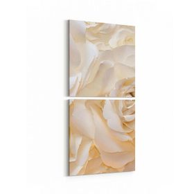 Olla 11582K2D Çiçek Görseli Kare 2 Parça Dikey 30x65 cm Kanvas Tablo