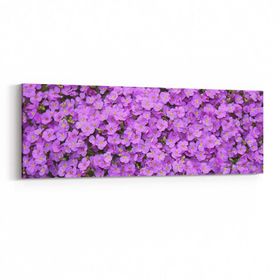 Olla 11587YI Çiçek Görseli Yatay İnce 90x30 cm Kanvas Tablo