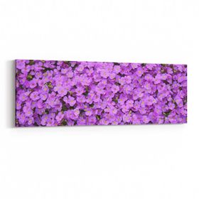 Olla 11587YI Çiçek Görseli Yatay İnce 90x30 cm Kanvas Tablo